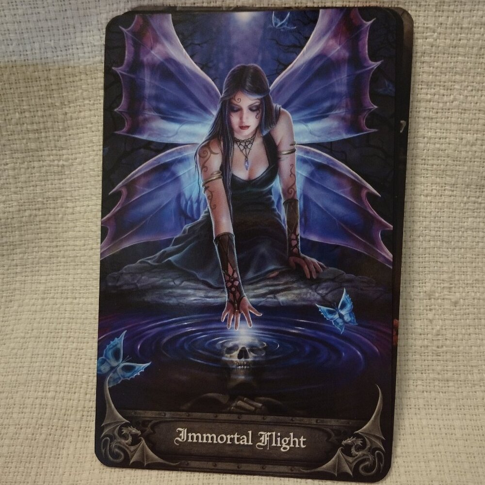 Gothic Oracle - Picture 11 of 11